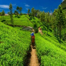 Assam